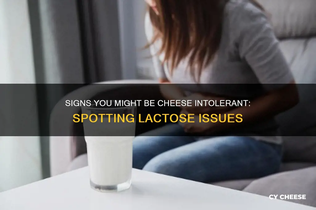 how to know if you are intolerant to cheese