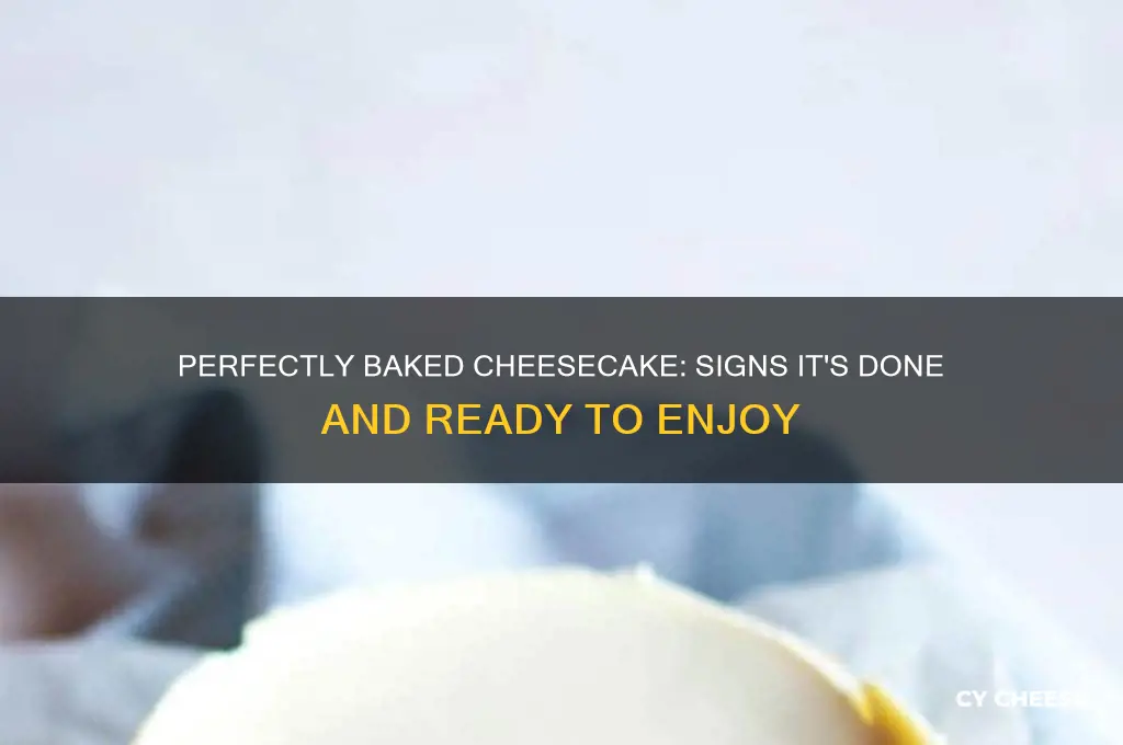how to know if your cheese cakr is done