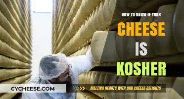 Is Your Cheese Kosher? A Guide to Certification and Ingredients
