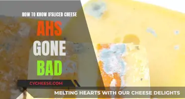 Sliced Cheese: Signs of Spoilage and Best Practices
