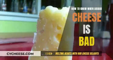 Spotting Bad Asiago Cheese: What to Look For