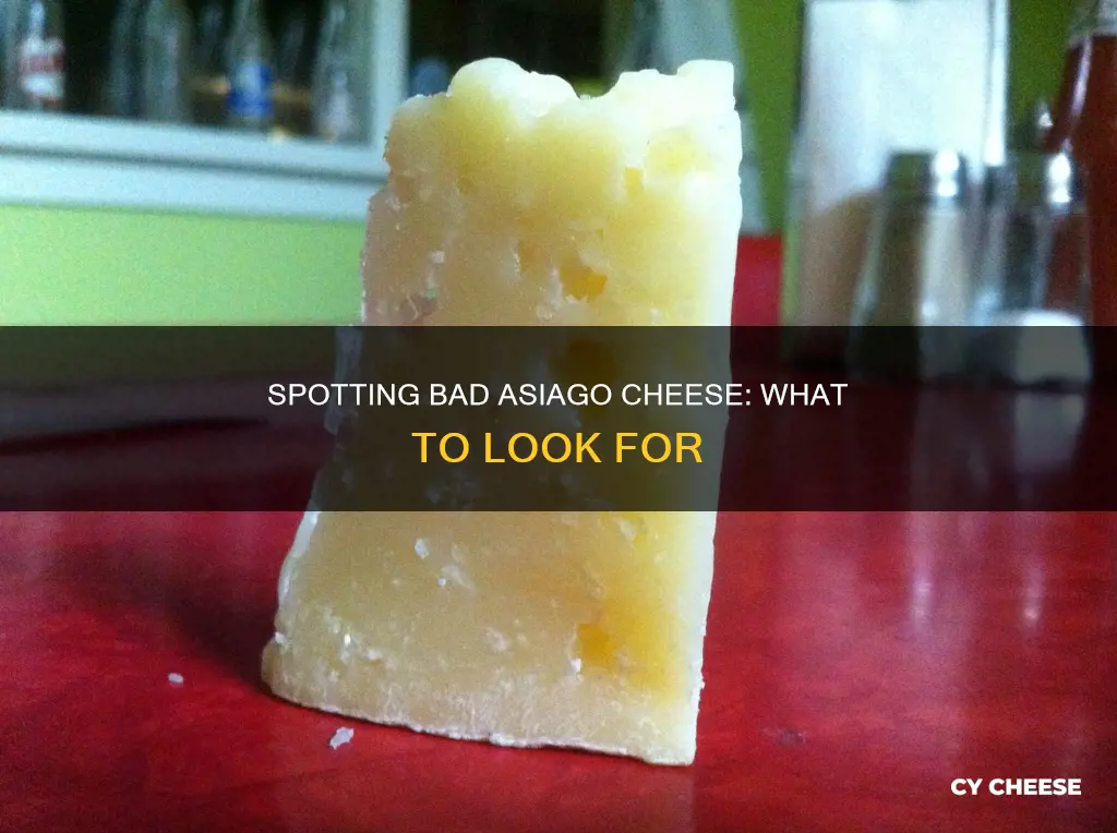 how to know when asiago cheese is bad