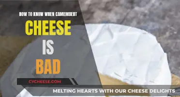 Spotting Spoiled Camembert: What to Look For
