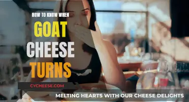 Goat Cheese Freshness: Signs of Turning and Spoilage
