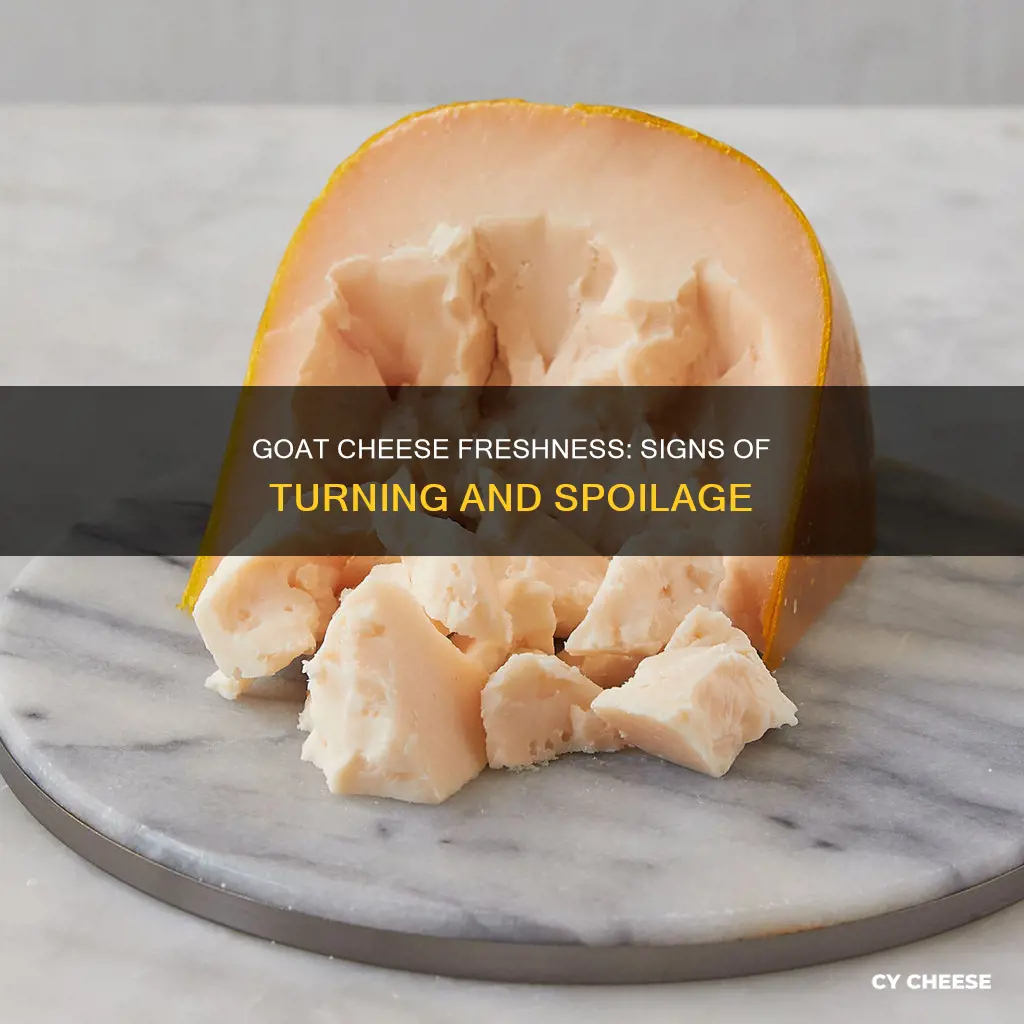 how to know when goat cheese turns