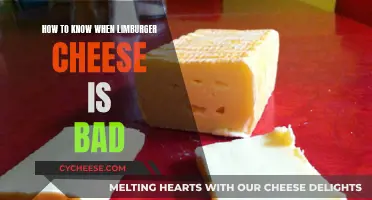Spotting Bad Limburger Cheese: A Quick Guide