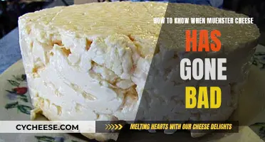 Detecting Spoiled Muenster Cheese: Signs to Watch For
