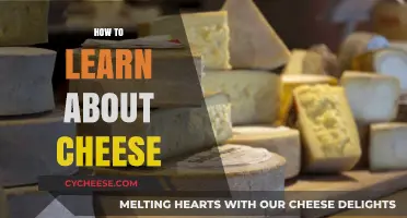 Mastering Cheese: A Beginner's Guide to Types, Tasting, and Pairing