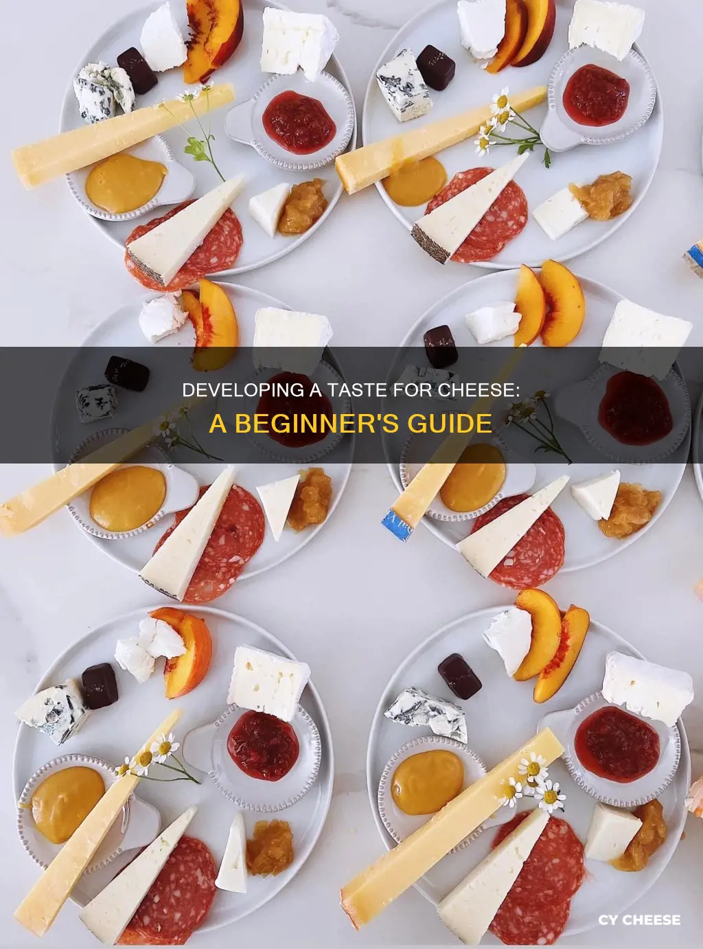 how to learn to like cheese