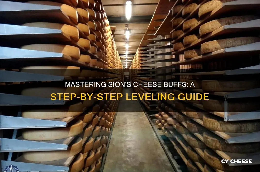 how to level 1 cheese buffs as sion