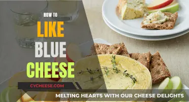 Blue Cheese: A Beginner's Guide to Developing a Taste