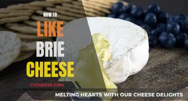 The Joy of Brie: A Beginner's Guide to Loving It