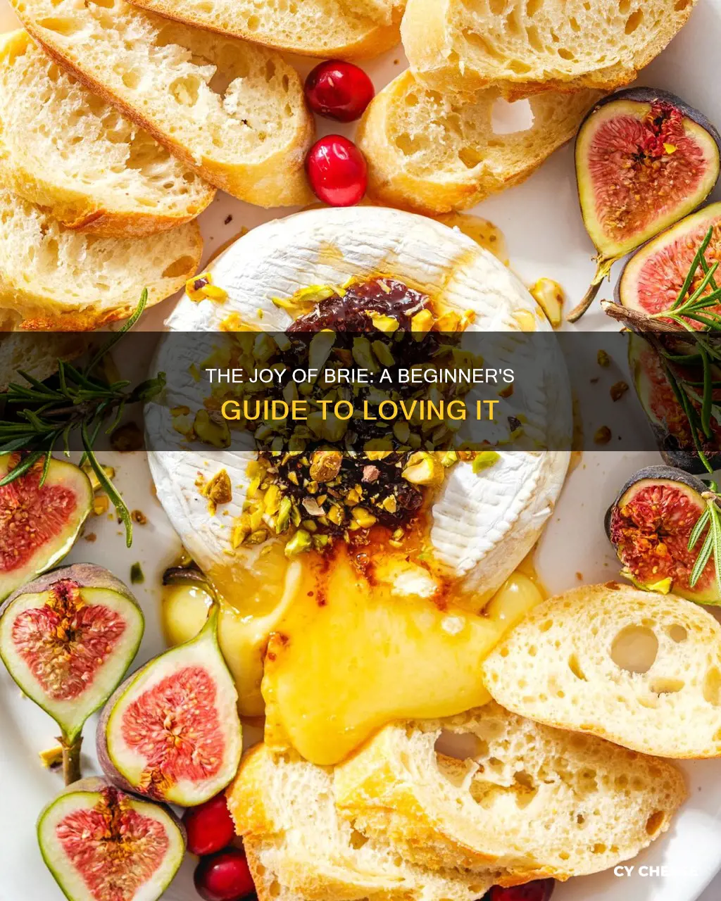 how to like brie cheese