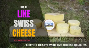 Embracing Swiss Cheese: A Guide to Developing a Taste