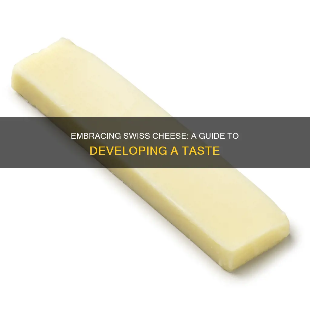 how to like swiss cheese