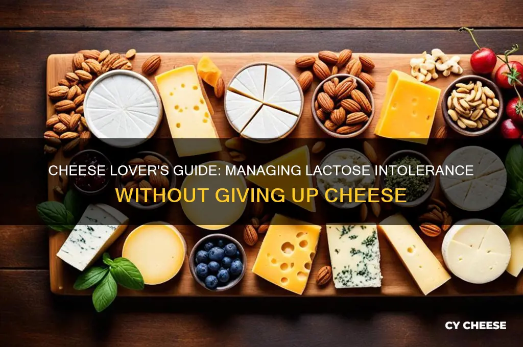how to limit lactose intolerance when you love cheese