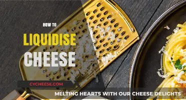 Mastering the Art of Liquidising Cheese: Tips and Techniques