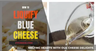 Blue Cheese Liquification: Easy Techniques for a Smooth Blend