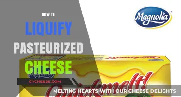 Mastering the Art of Melting Pasteurized Cheese: Tips and Techniques