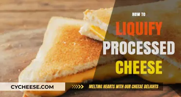 Mastering the Art of Melting Processed Cheese Smoothly and Easily