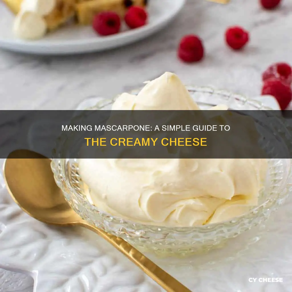 how to made and ingrediant mascarpone cheese