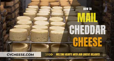 Mastering the Art of Cheddar Cheese Mailing: Tips and Tricks