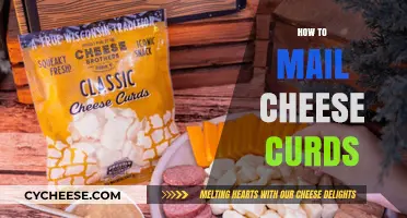 Shipping Cheese Curds: Tips for Fresh, Squeaky Delivery Every Time