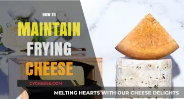 Mastering Frying Cheese: Tips for Perfect Storage and Freshness