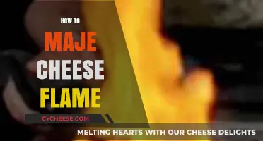 Mastering the Art of Flaming Cheese: A Step-by-Step Guide