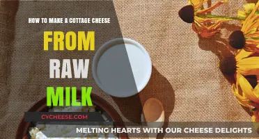 Crafting Creamy Cottage Cheese: A Simple Guide Using Raw Milk