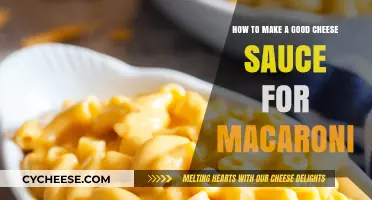 The Ultimate Cheesy Macaroni Sauce Guide