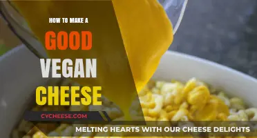 Vegan Cheese: Crafting the Perfect Dairy-Free Delight