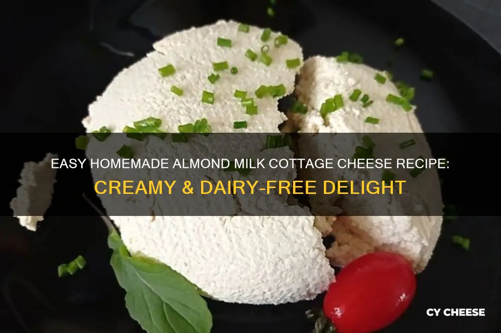 how to make almond milk cottage cheese