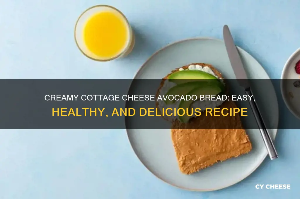 how to make avocado bread with cottage cheese