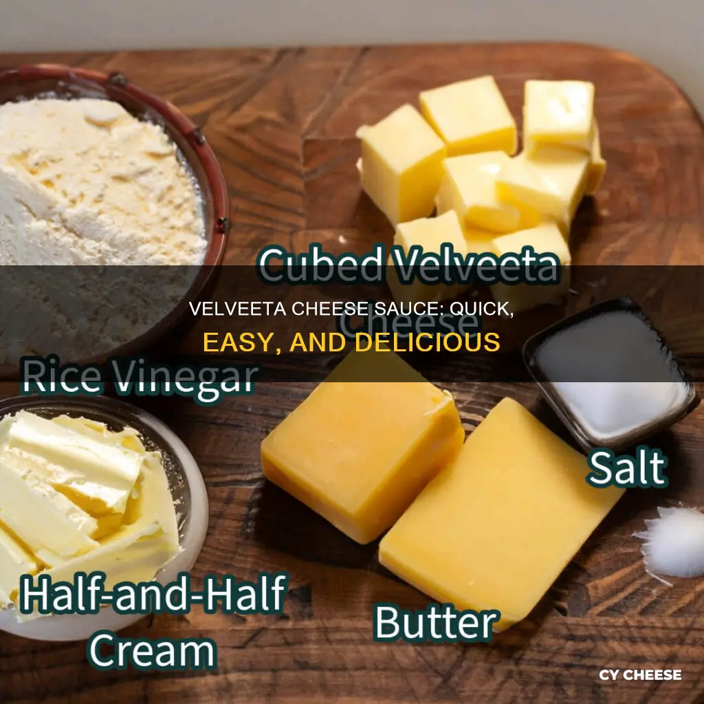 how to make cheese sauce using velveeta
