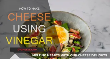 Making Cheese with Vinegar: A Simple Guide