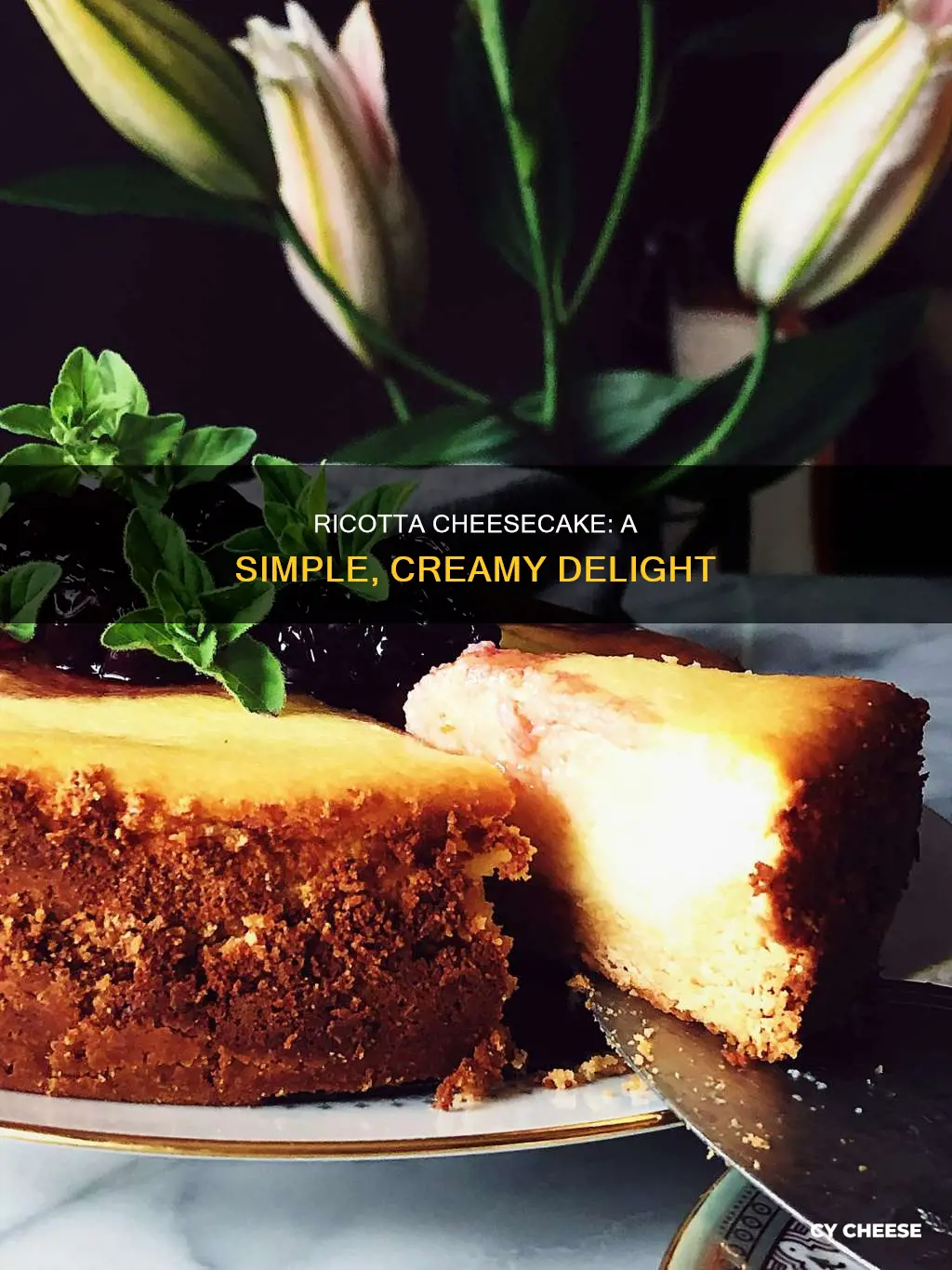 how to make cheesecake using ricotta cheese
