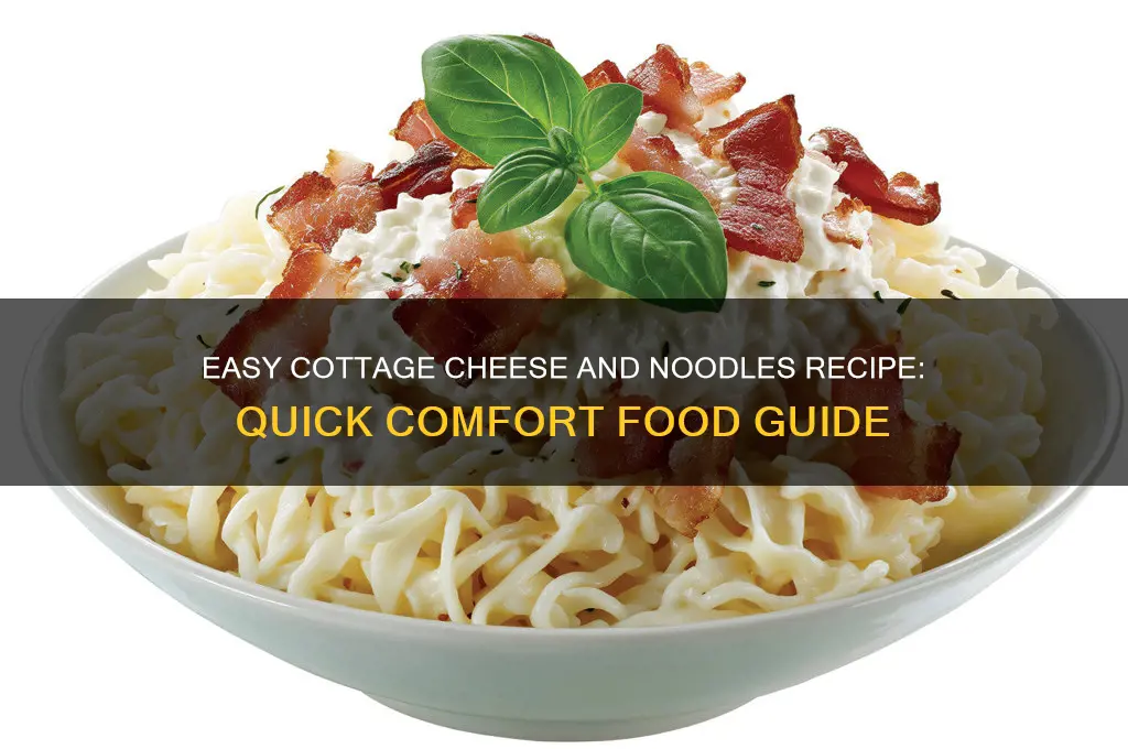 how to make cottage cheese and noodles