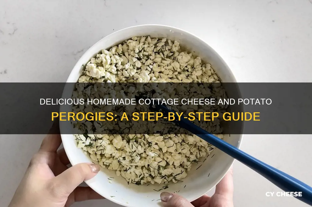 how to make cottage cheese and potato perogies
