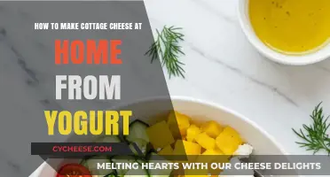 Easy Homemade Cottage Cheese Recipe Using Yogurt: A Simple Guide