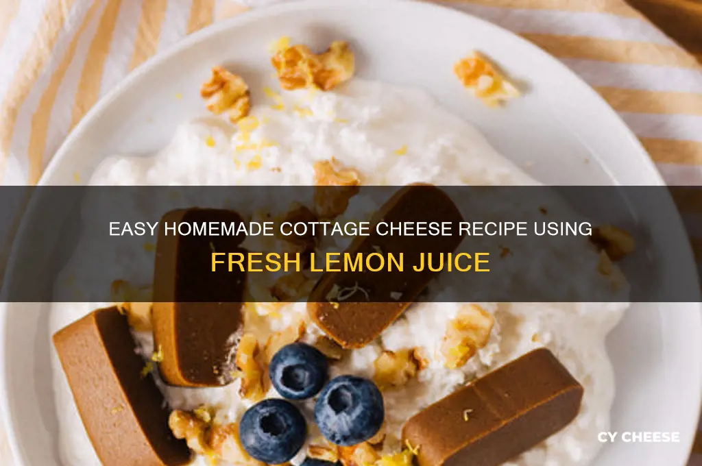 how to make cottage cheese at home with lemon juice
