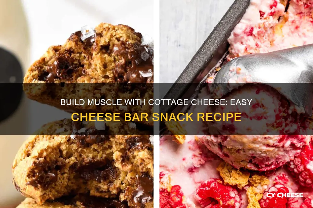 how to make cottage cheese cheese bar snack muscke building