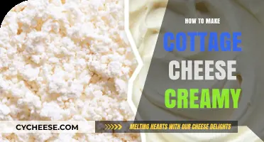 Creamy Cottage Cheese Secrets: Simple Techniques for Rich, Smooth Texture