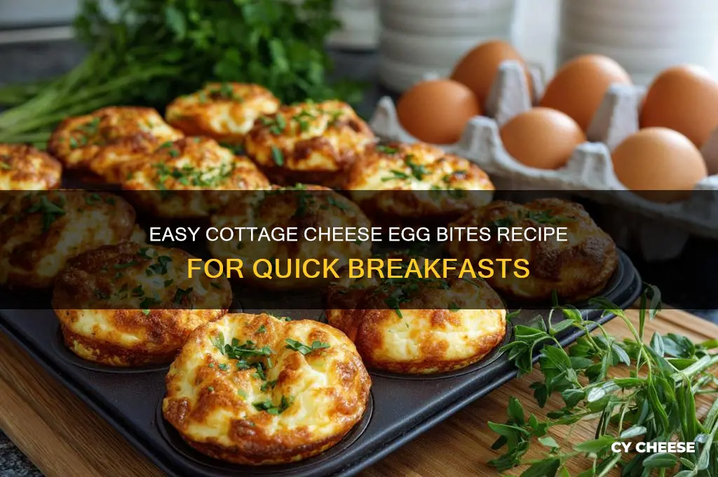 how to make cottage cheese egg bites