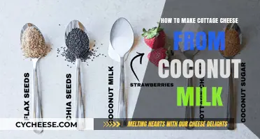 Easy Homemade Coconut Milk Cottage Cheese Recipe: A Vegan Delight