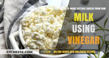 Crafting Cottage Cheese: A Simple Vinegar Method Using Raw Milk