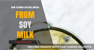 Easy Vegan Cottage Cheese: Crafting Creamy Delights from Soy Milk