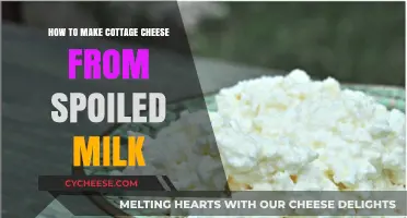 Transform Spoiled Milk into Creamy Cottage Cheese: A Simple Guide
