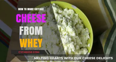 Transforming Whey into Creamy Cottage Cheese: A Simple Homemade Recipe