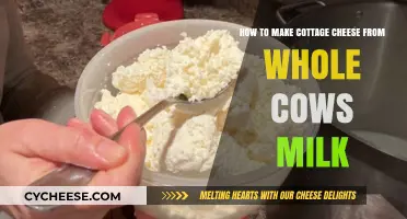 Easy Homemade Cottage Cheese Recipe Using Whole Cow's Milk